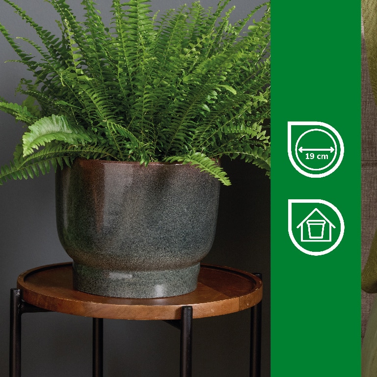 Ghiveci din Argila, Dark Shadow, 23 cm  Verve