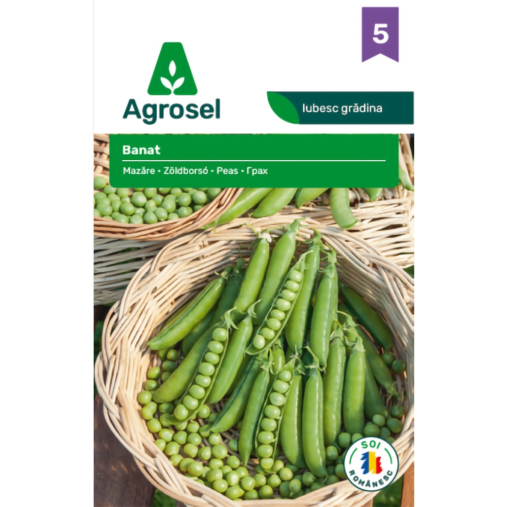 Seminte Mazare Banat AGROSEL