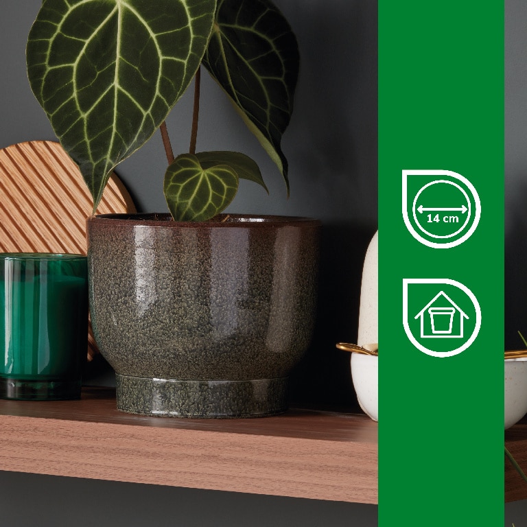 Ghiveci din Argila, Dark Shadow, 16.5 cm  Verve