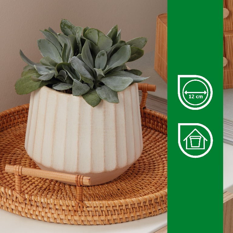 Ghiveci din Teracota, Bej, 16 cm Verve