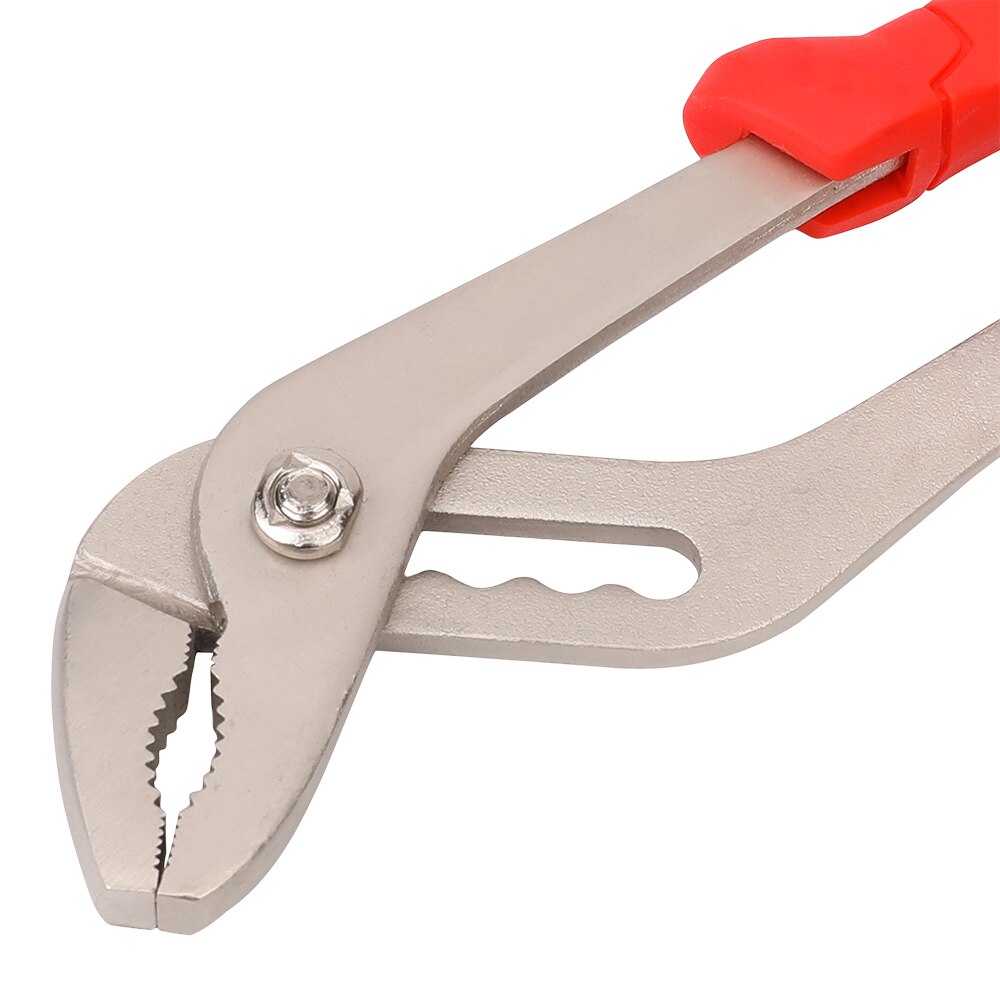 Cleste papagal FORGE STEEL, 240mm, otel