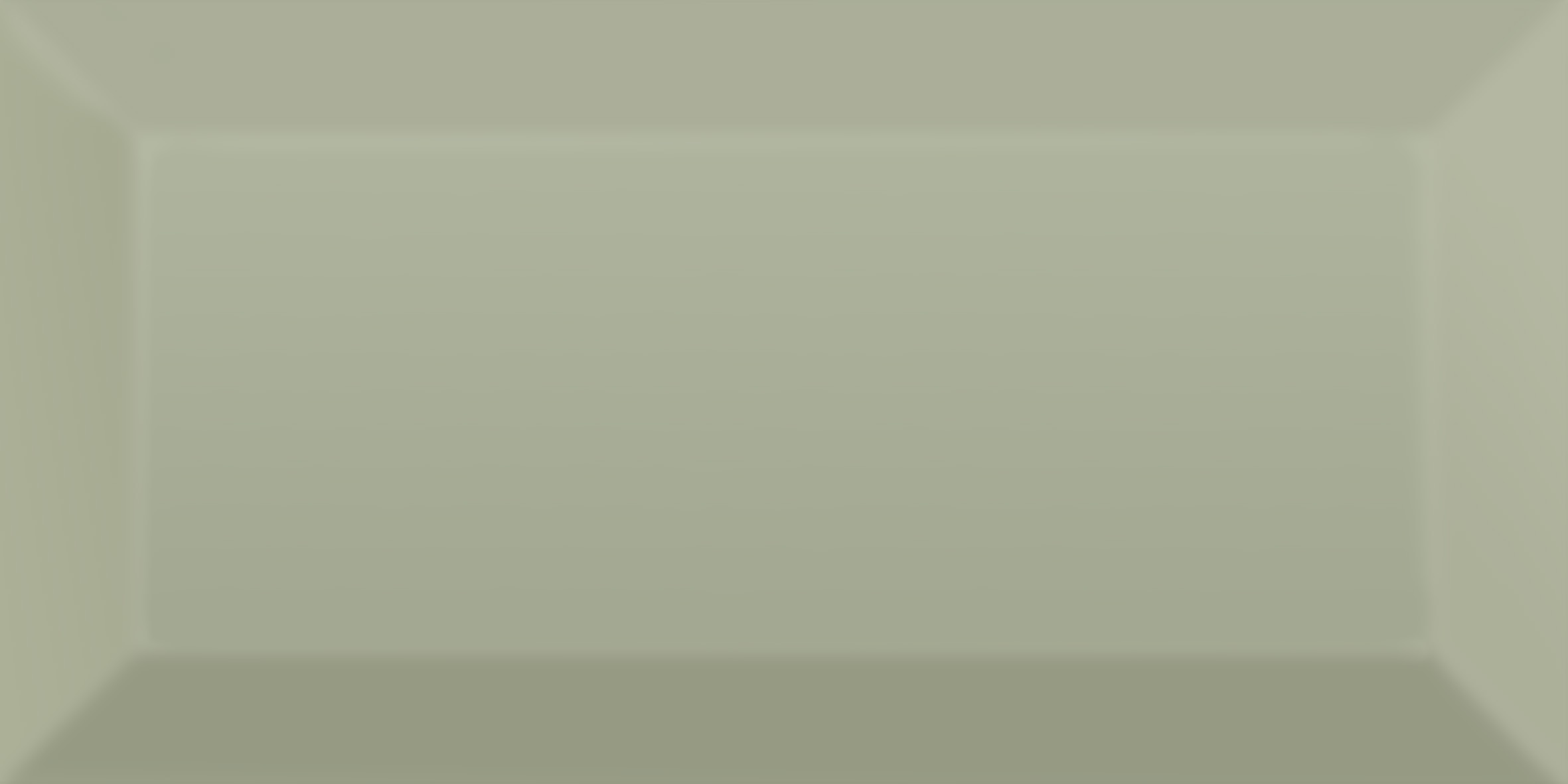 Faianta Metrotiles Olive, 20 x 10 cm, 0.88 mp/cutie