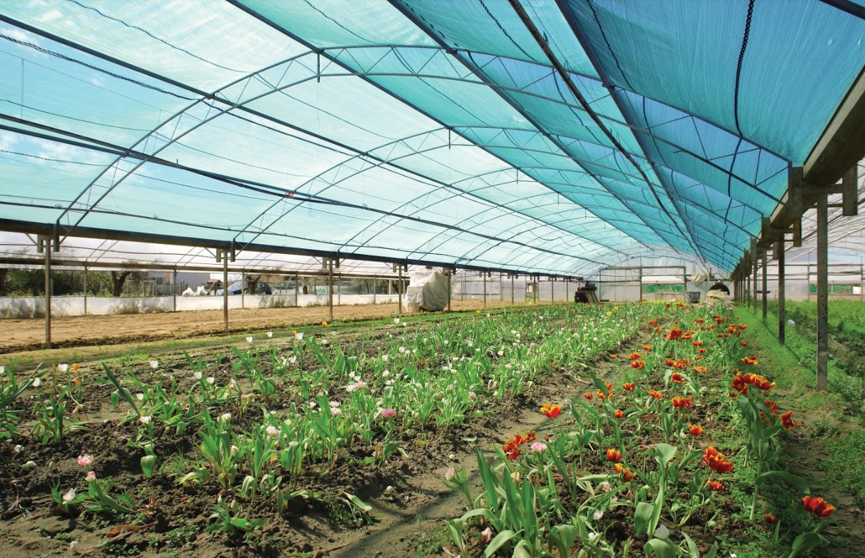 Plasa Umbrire Sera Si Solarii, 6 x 15 m, 40%  Vodaland