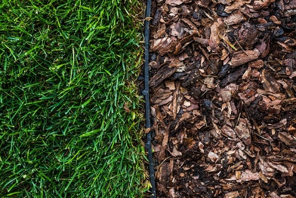 Kit Bordura Gazon 6Mxh3.8Cm 8Ancore