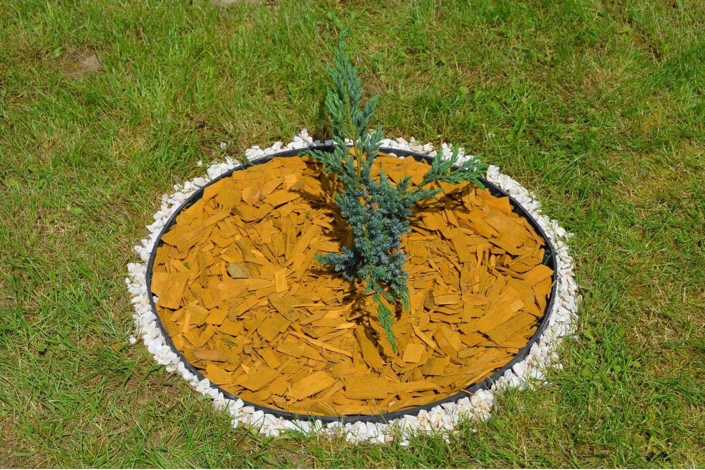 Kit Bordura Gazon 6Mxh3.8Cm 8Ancore