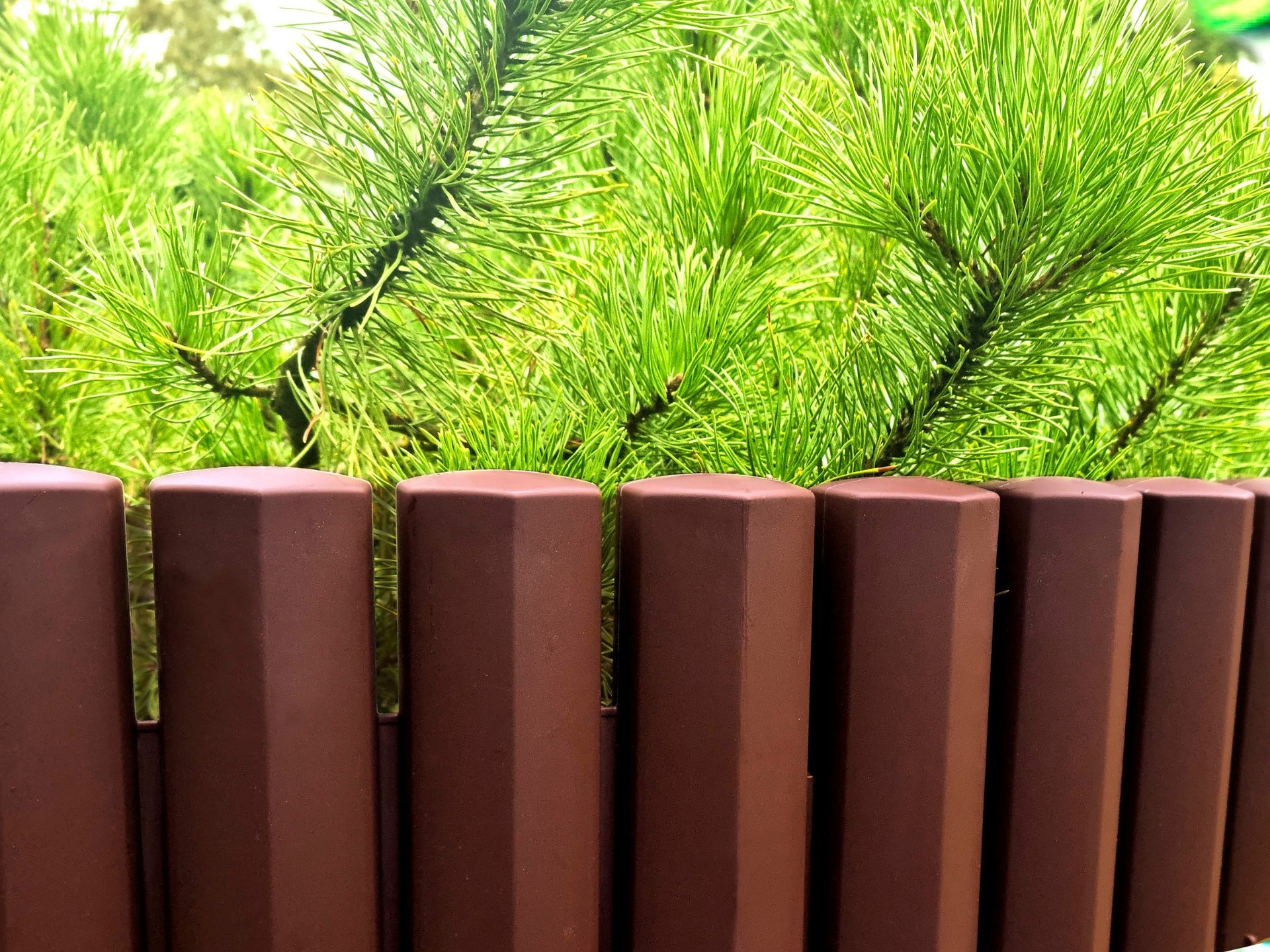 Gard Palisada Pp Maro H25.5X2.7M