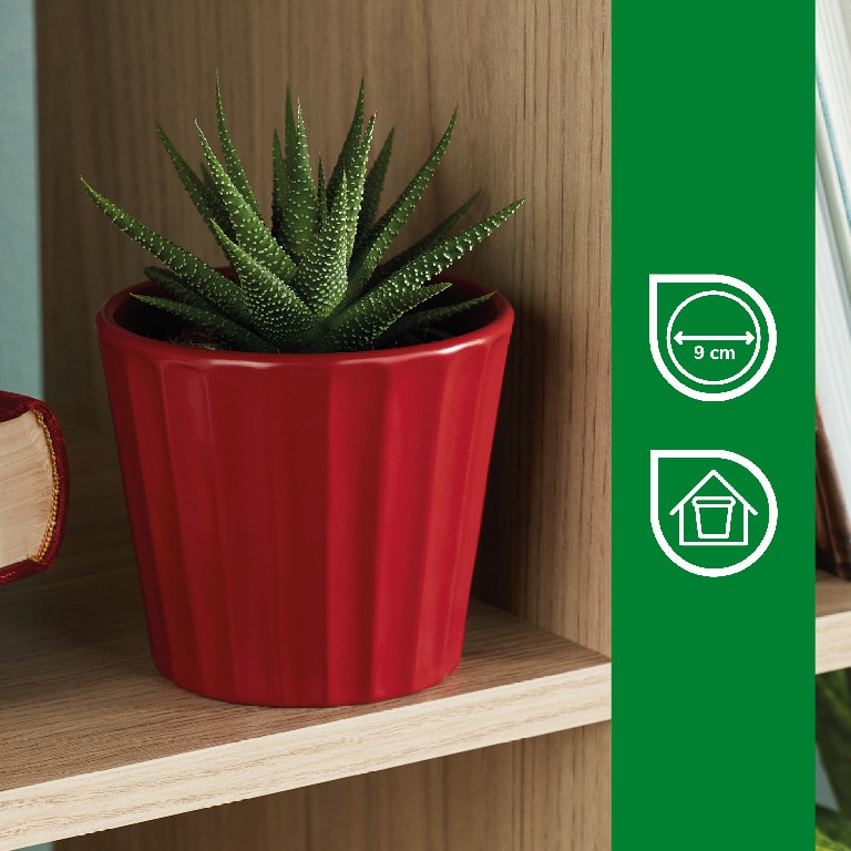 Ghiveci din Argila, Rosu, 11 cm  Verve