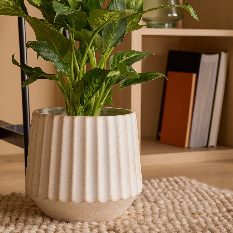 Ghiveci din Teracota, Bej, 22 cm  Verve