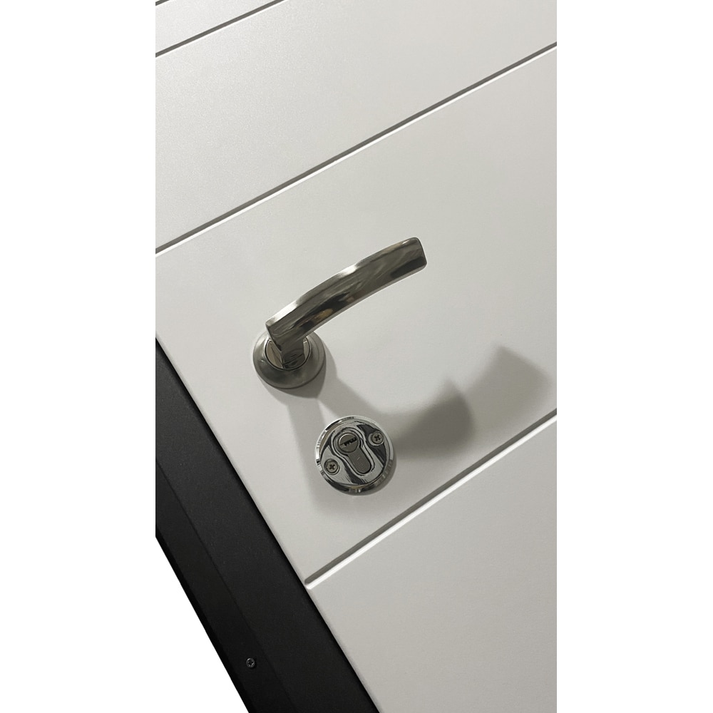 Usa exterior BELLA CASA BC700, fara geam, dreapta, metal, 77 x 194 cm, antracit-alb