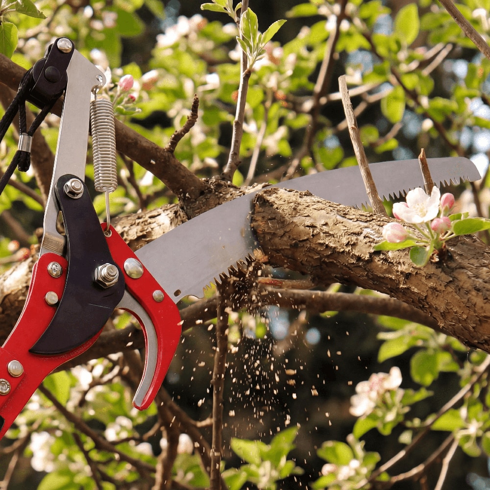 Foarfeca telescopica pentru crengi FORGE STEEL, otel