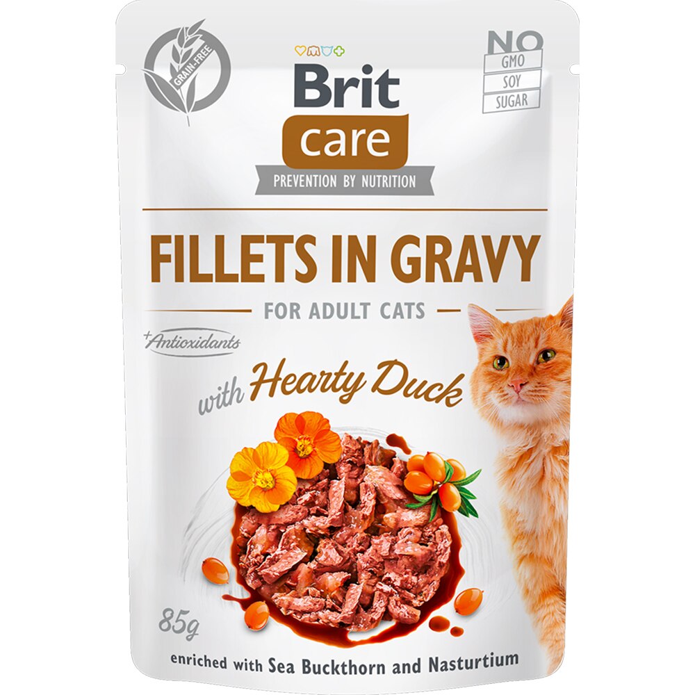 Hrana umeda pentru pisici BRIT CARE, Adult, File in sos, 12 x 85g