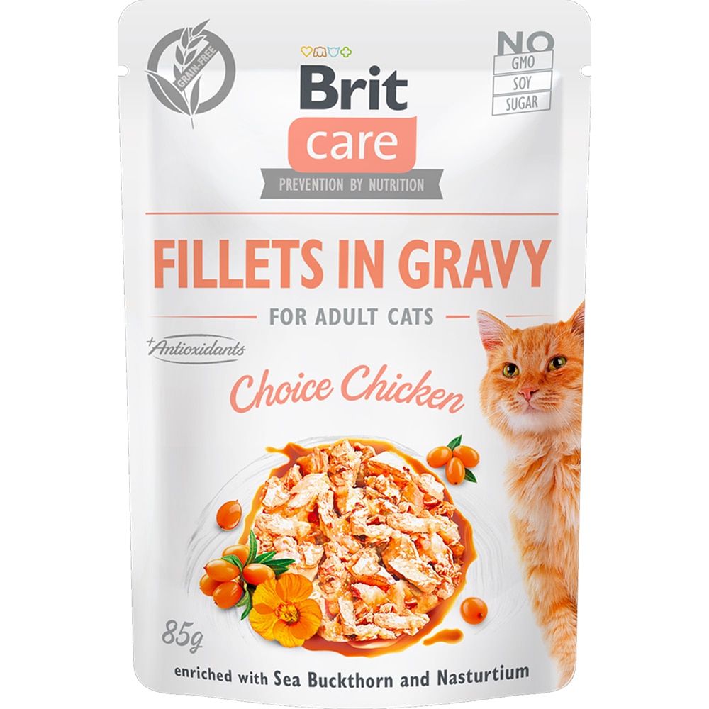 Hrana umeda pentru pisici BRIT CARE, Adult, File in sos, 12 x 85g