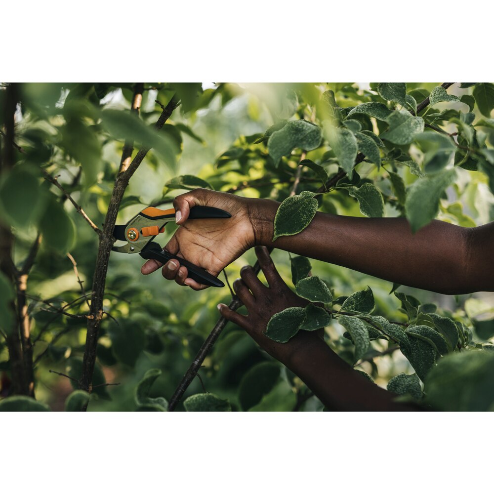 Foarfeca pas cu pas FISKARS Solid P331, metal, negru