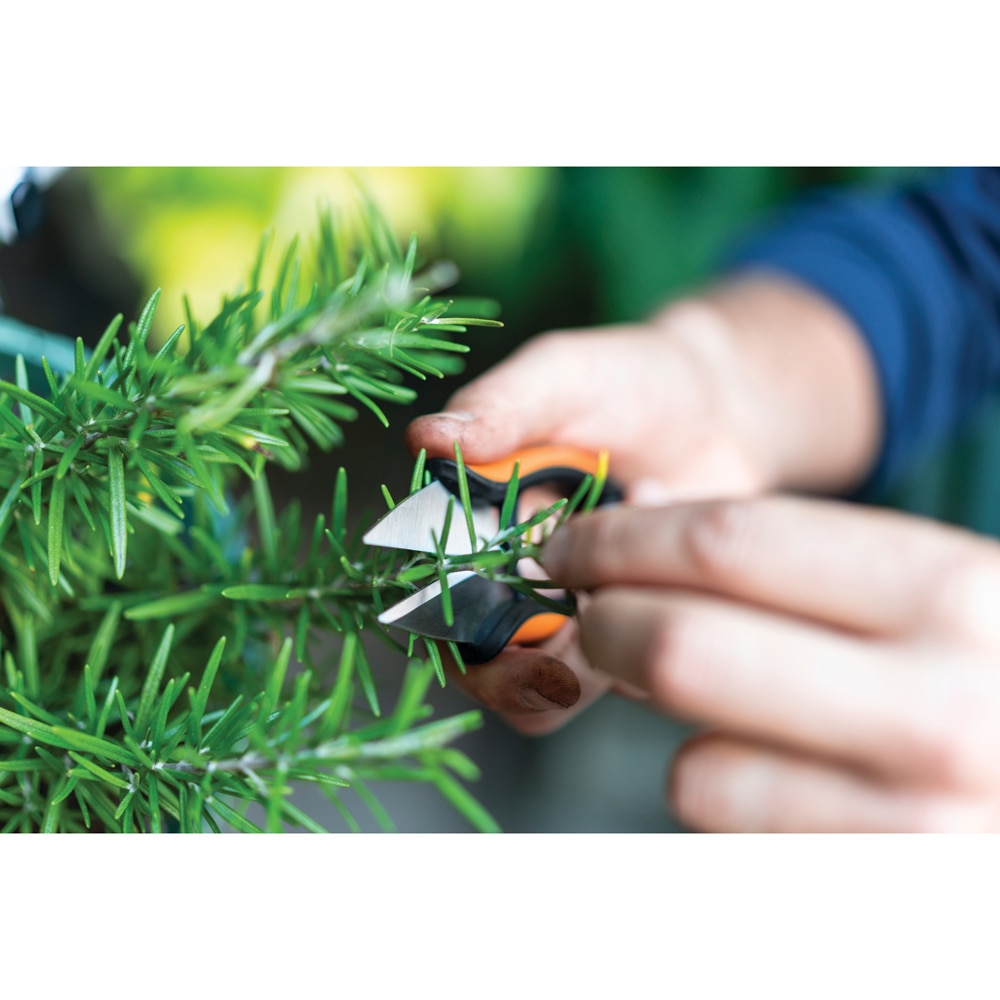 Foarfeca pentru plante aromatice FISKARS SP220 Solid, otel, negru