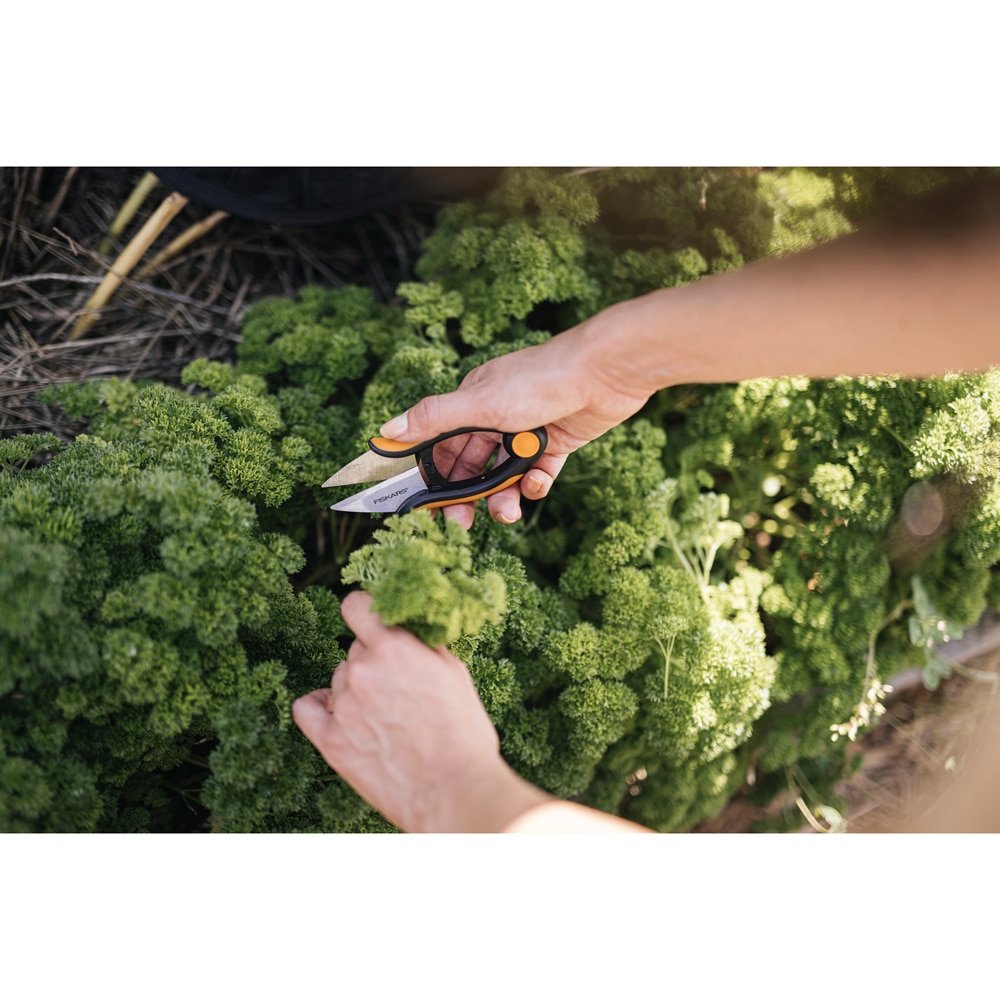 Foarfeca pentru plante aromatice FISKARS SP220 Solid, otel, negru