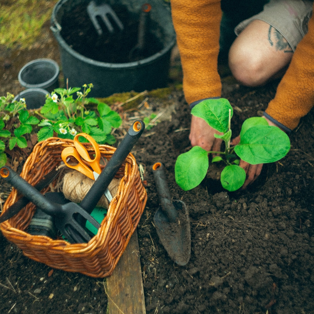 Plantator FISKARS Solid, 30cm, otel