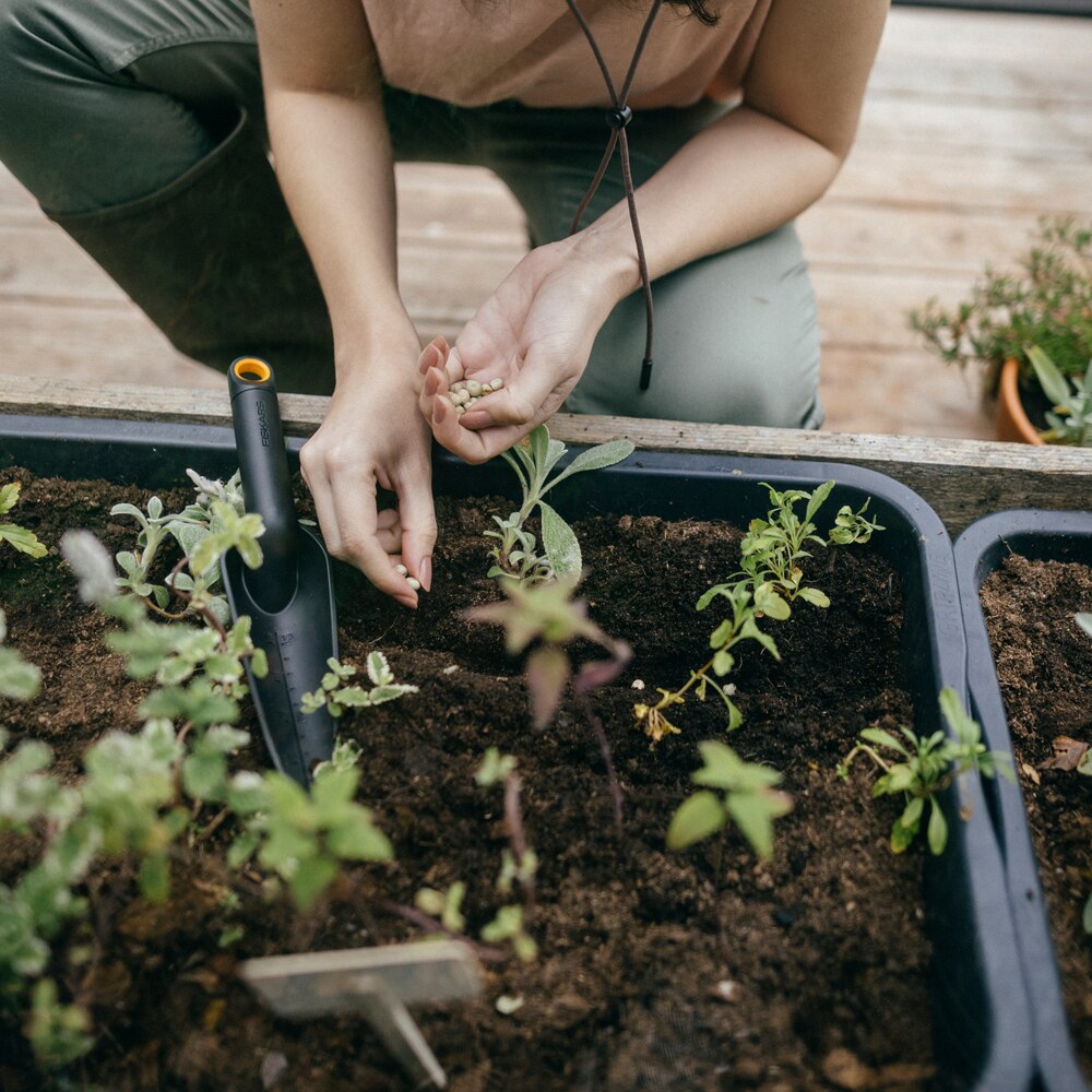 Plantator FISKARS Solid, plastic, negru