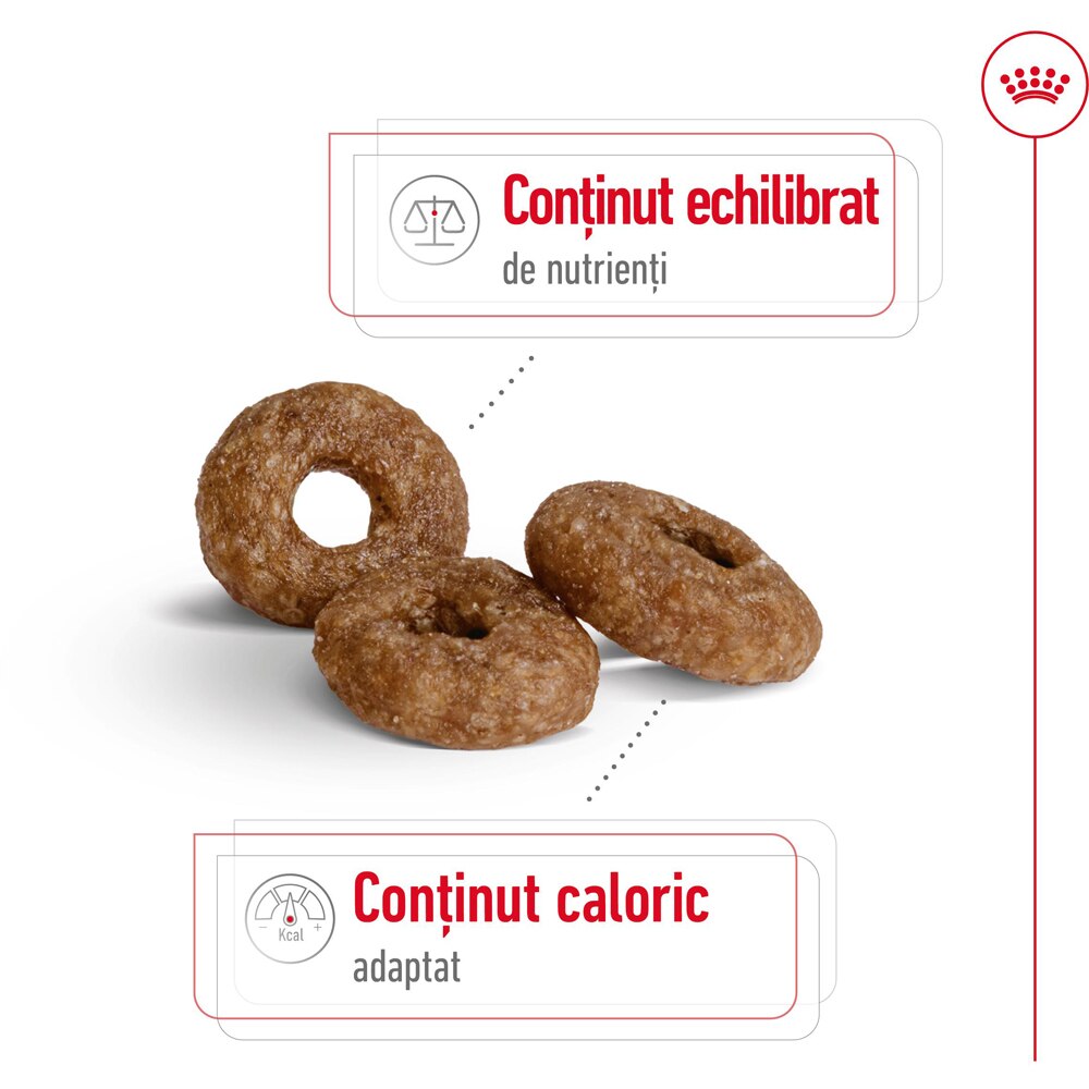 Hrana uscata pentru caini ROYAL CANIN SHN Mini Ageing 12+, Senior, 1.5 kg