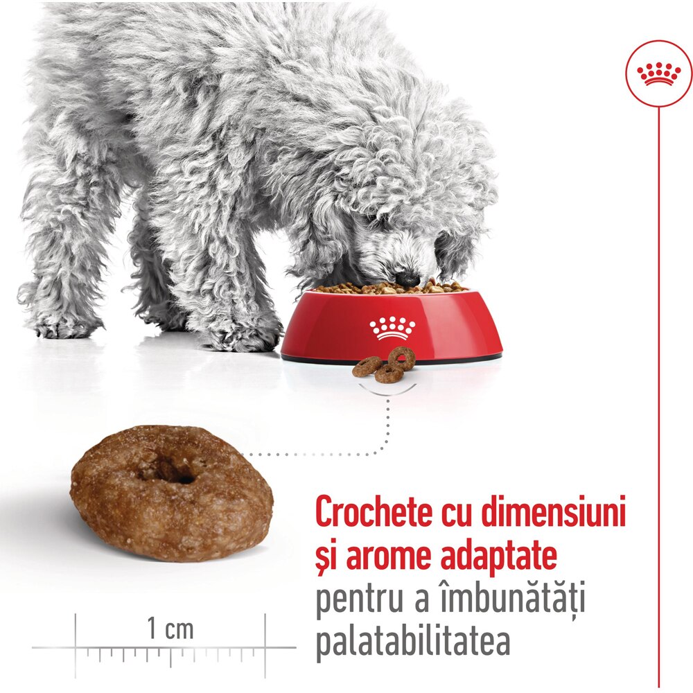 Hrana uscata pentru caini ROYAL CANIN SHN Mini Ageing 12+, Senior, 1.5 kg