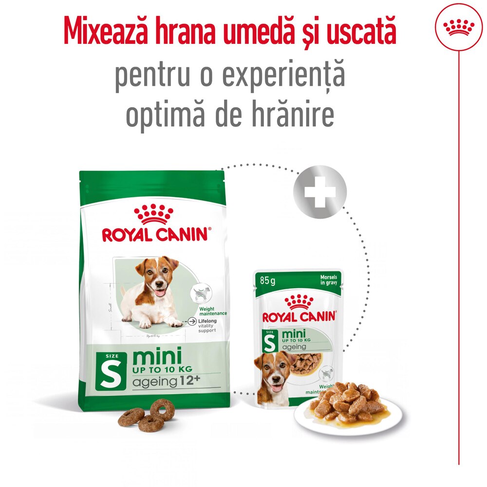 Hrana uscata pentru caini ROYAL CANIN SHN Mini Ageing 12+, Senior, 1.5 kg