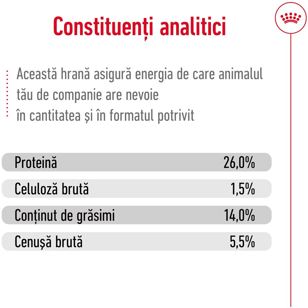 Hrana uscata pentru caini ROYAL CANIN SHN Mini Ageing 12+, Senior, 1.5 kg