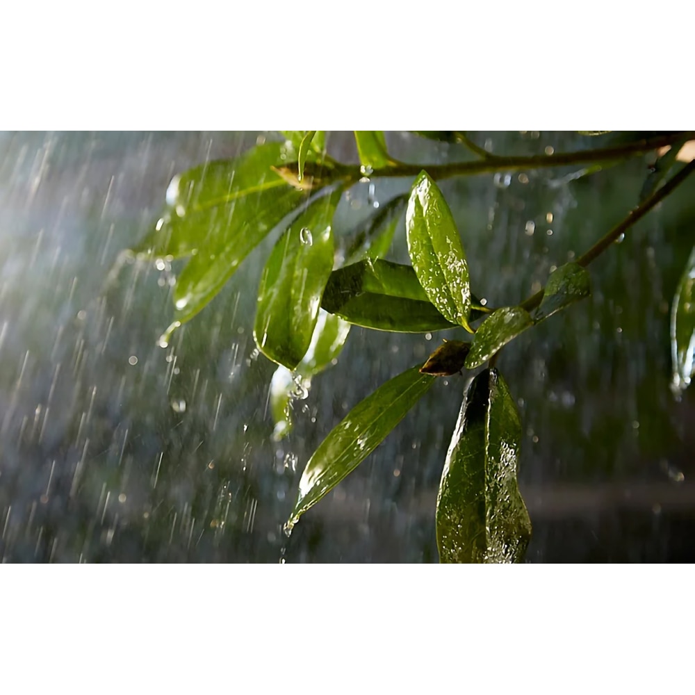 Cablu exterior PHILIPS Hue, IP67, negru, 5 m