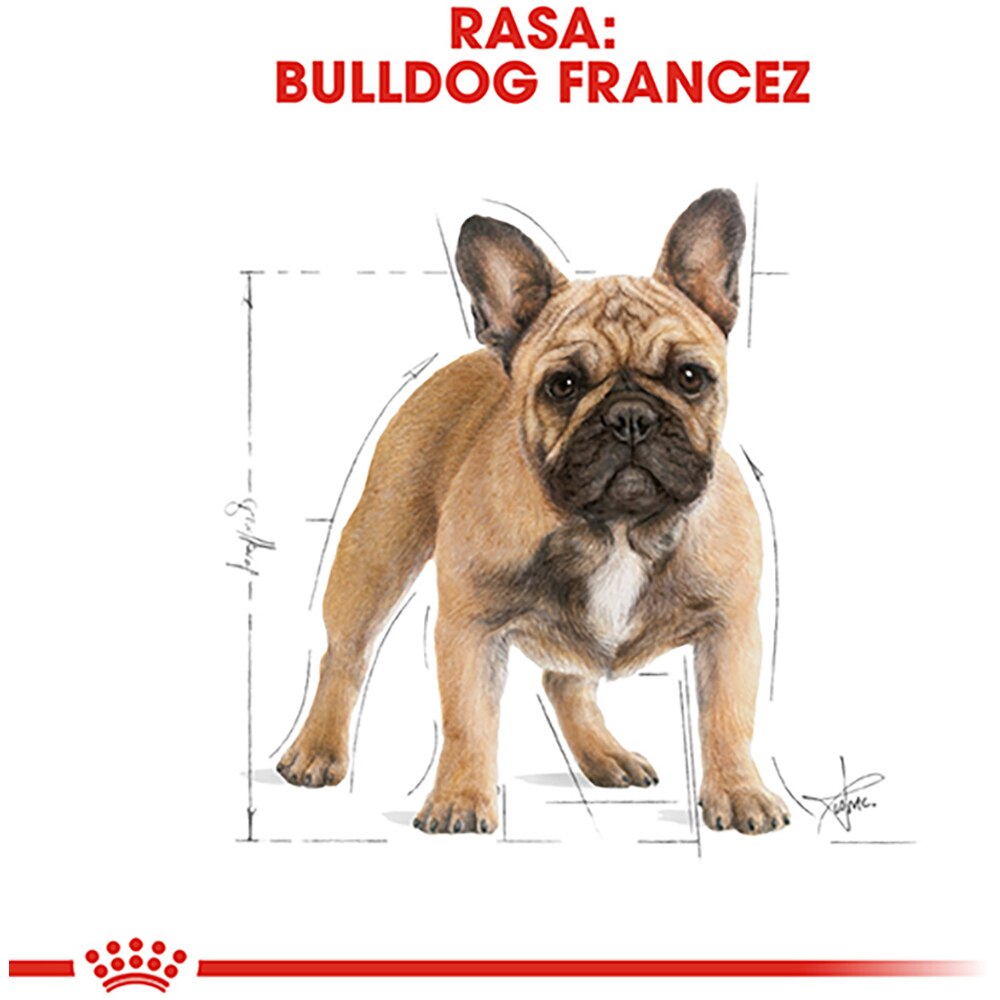 Hrana uscata pentru caini ROYAL CANIN BHN French Bulldog, Adult, Porc, 3 kg