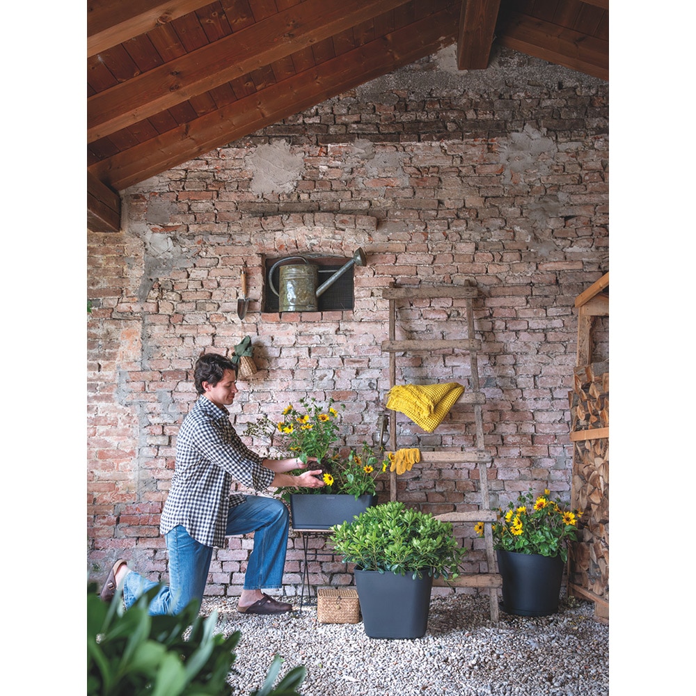 Ghiveci plante DEROMA Quadro, D28 cm, plastic, antracit