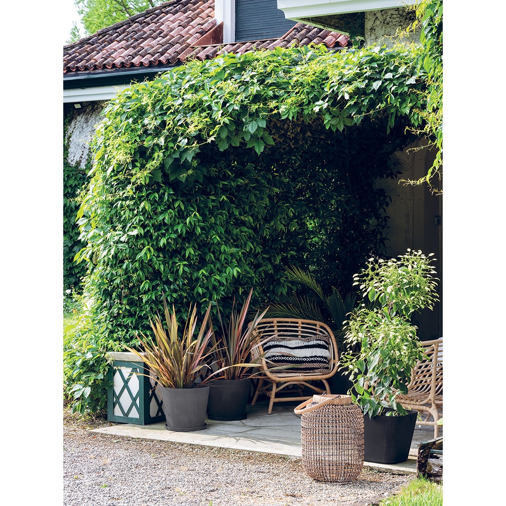 Ghiveci plante DEROMA Quadro, D28 cm, plastic, antracit