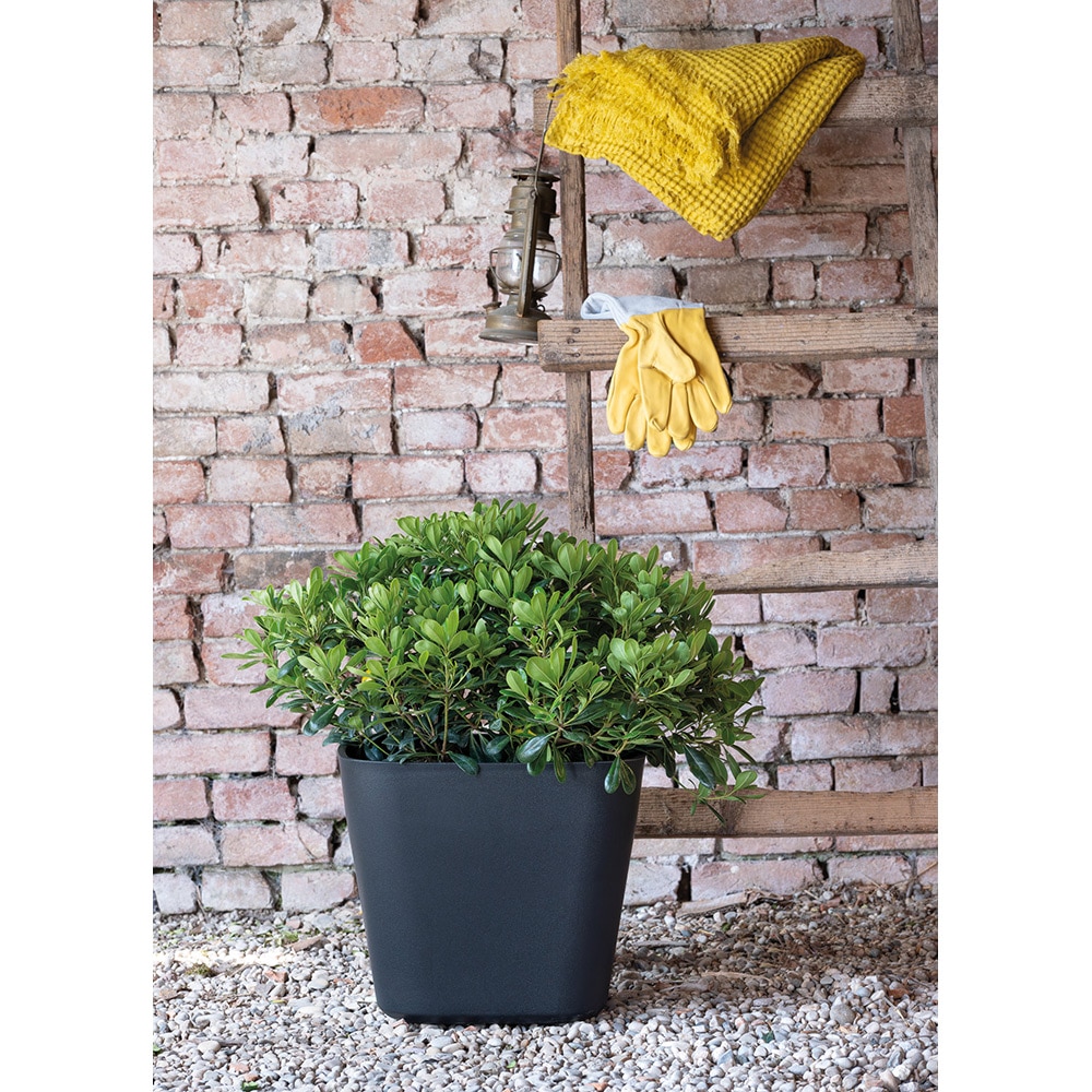 Ghiveci plante DEROMA Quadro, D28 cm, plastic, antracit