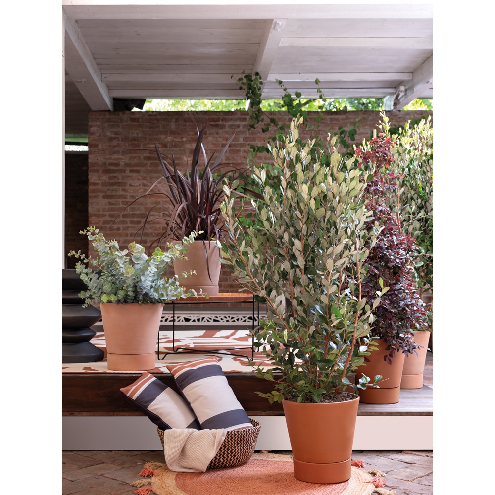 Ghiveci DEROMA Cono, D24 cm, maro