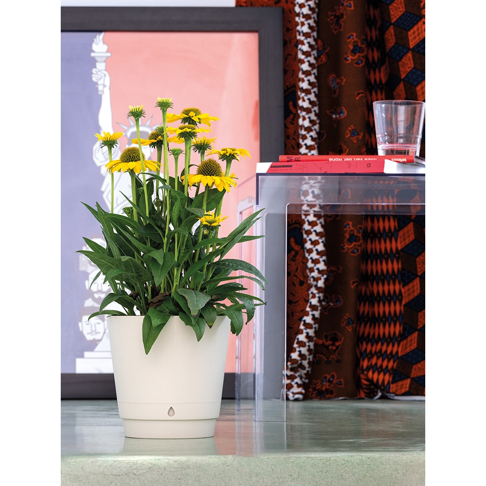 Ghiveci plante DEROMA Grigio, D18 cm, plastic, gri