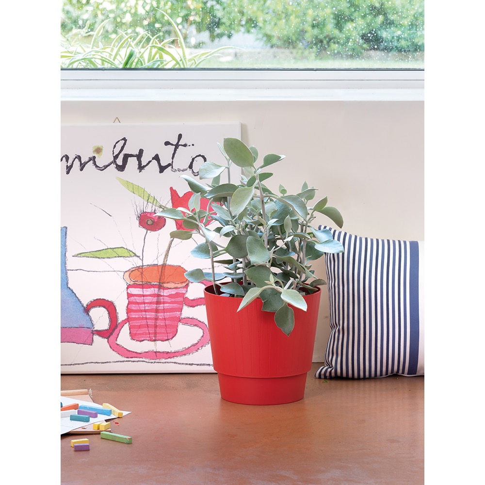 Ghiveci plante DEROMA Plisse, D15 cm, rosu