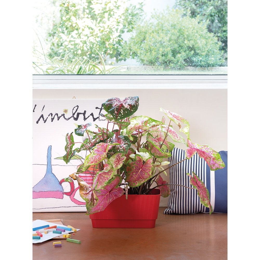 Jardiniera DEROMA Plisse, D30 cm, rosu