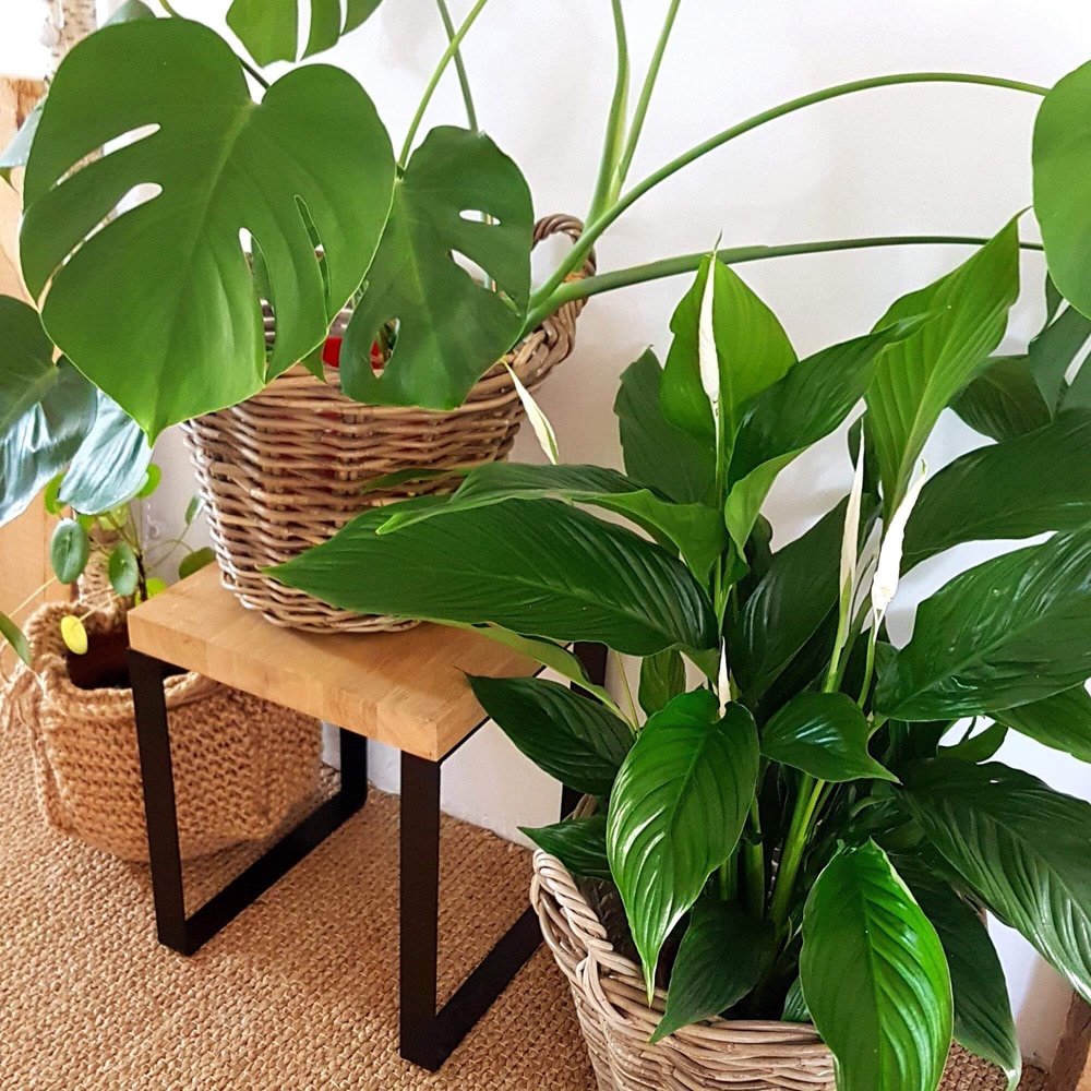 Picior masa stil industrial, 38.5 x 35 x 4 cm, rectangular, negru