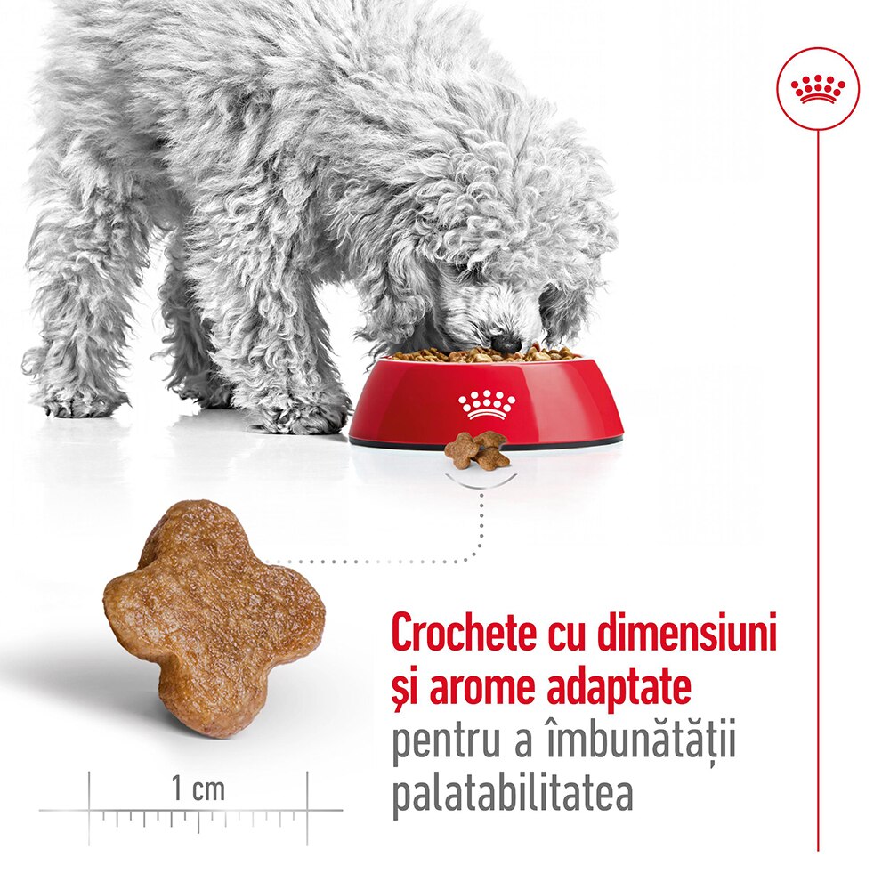 Hrana uscata pentru caini ROYAL CANIN SHN Mini 8+, Adult, 2 kg
