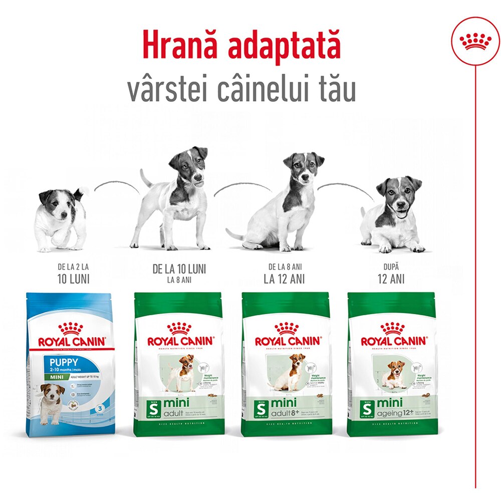 Hrana uscata pentru caini ROYAL CANIN SHN Mini 8+, Adult, 2 kg