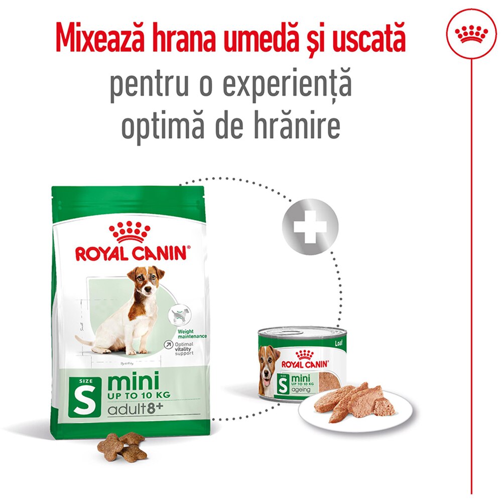 Hrana uscata pentru caini ROYAL CANIN SHN Mini 8+, Adult, 2 kg