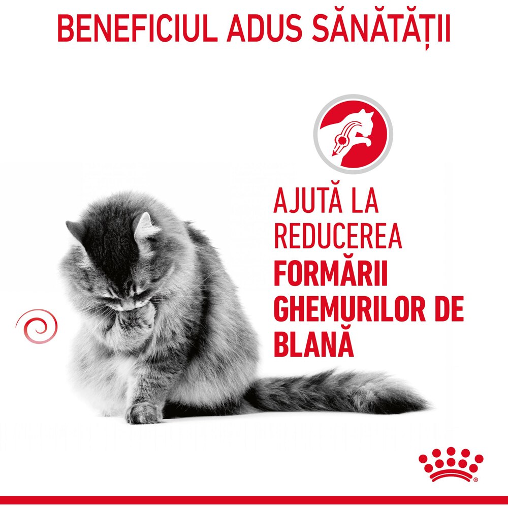 Hrana uscata pentru pisici ROYAL CANIN FCN Hairball Care, Adult, Pasare, 400 g