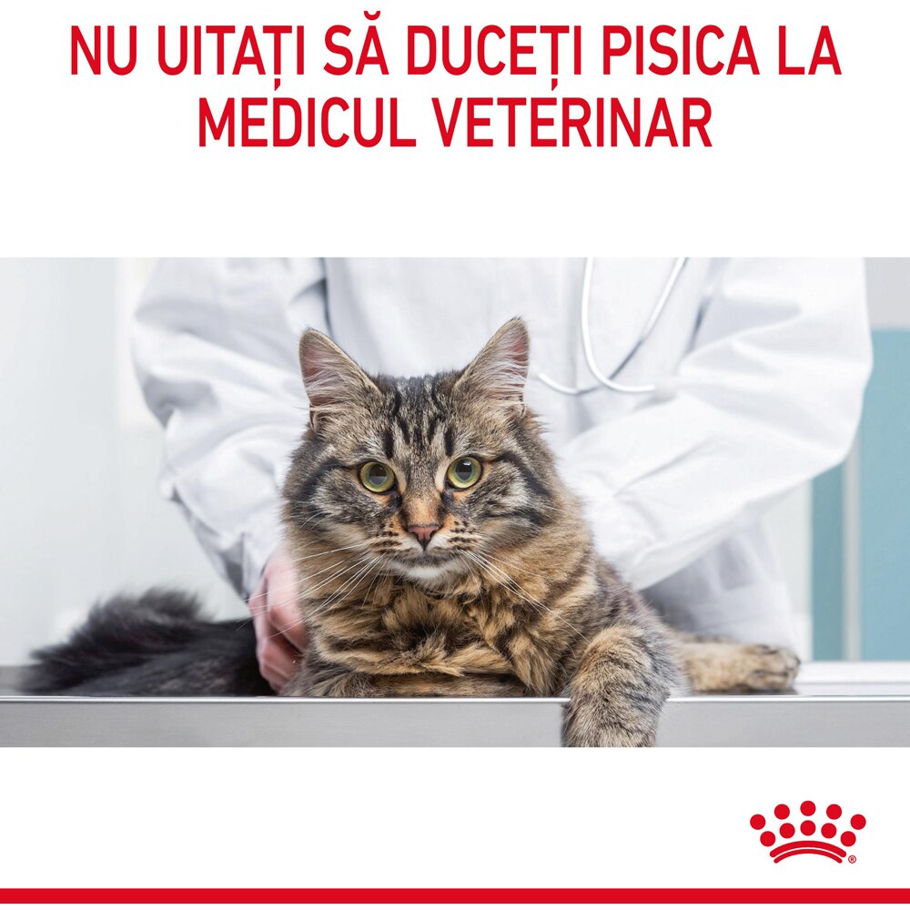Hrana uscata pentru pisici ROYAL CANIN FCN Dental Care, Adult, Pasare, 1.5 kg
