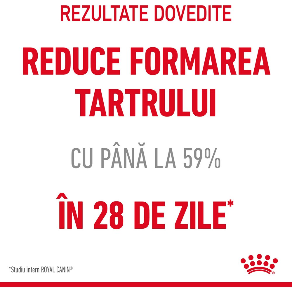 Hrana uscata pentru pisici ROYAL CANIN FCN Dental Care, Adult, Pasare, 1.5 kg