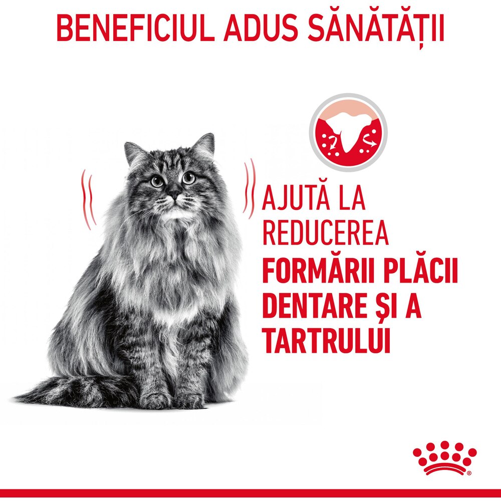 Hrana uscata pentru pisici ROYAL CANIN FCN Dental Care, Adult, Pasare, 1.5 kg