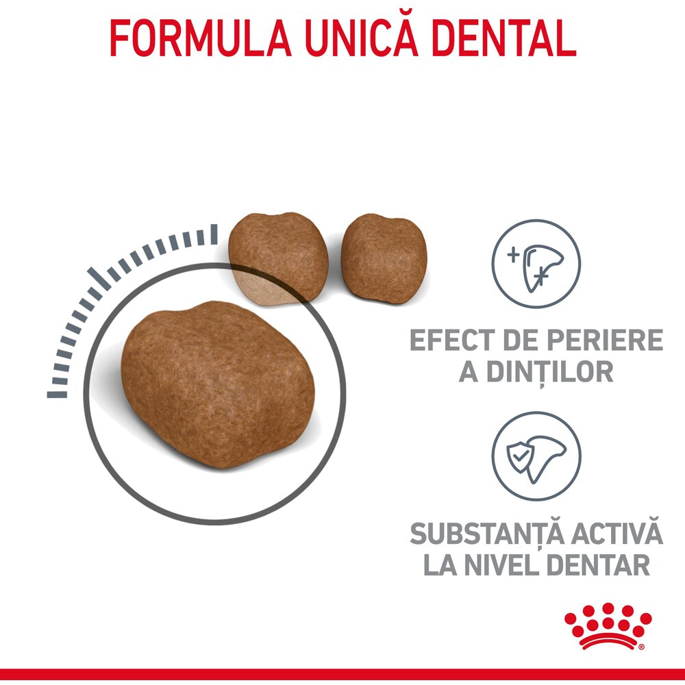 Hrana uscata pentru pisici ROYAL CANIN FCN Dental Care, Adult, Pasare, 1.5 kg