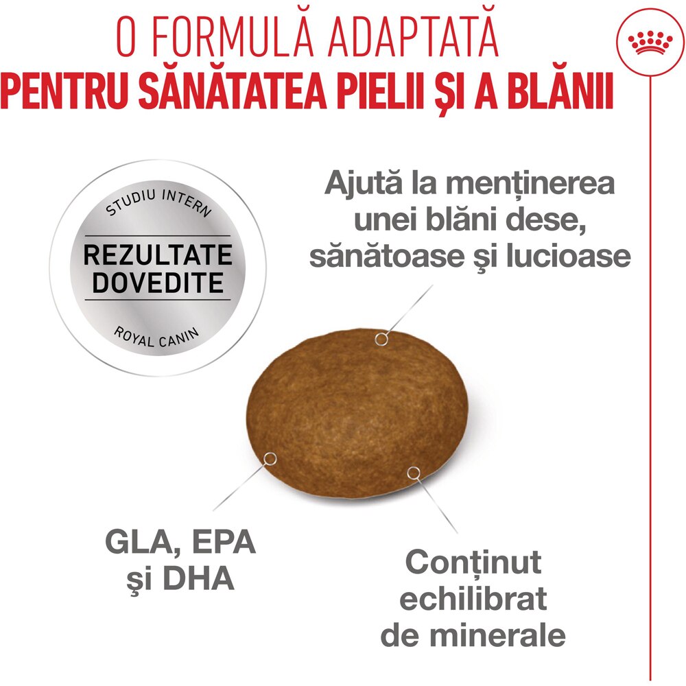 Hrana uscata pentru pisici ROYAL CANIN FCN Hair&Skin Care, Adult, Pasare, 400 g