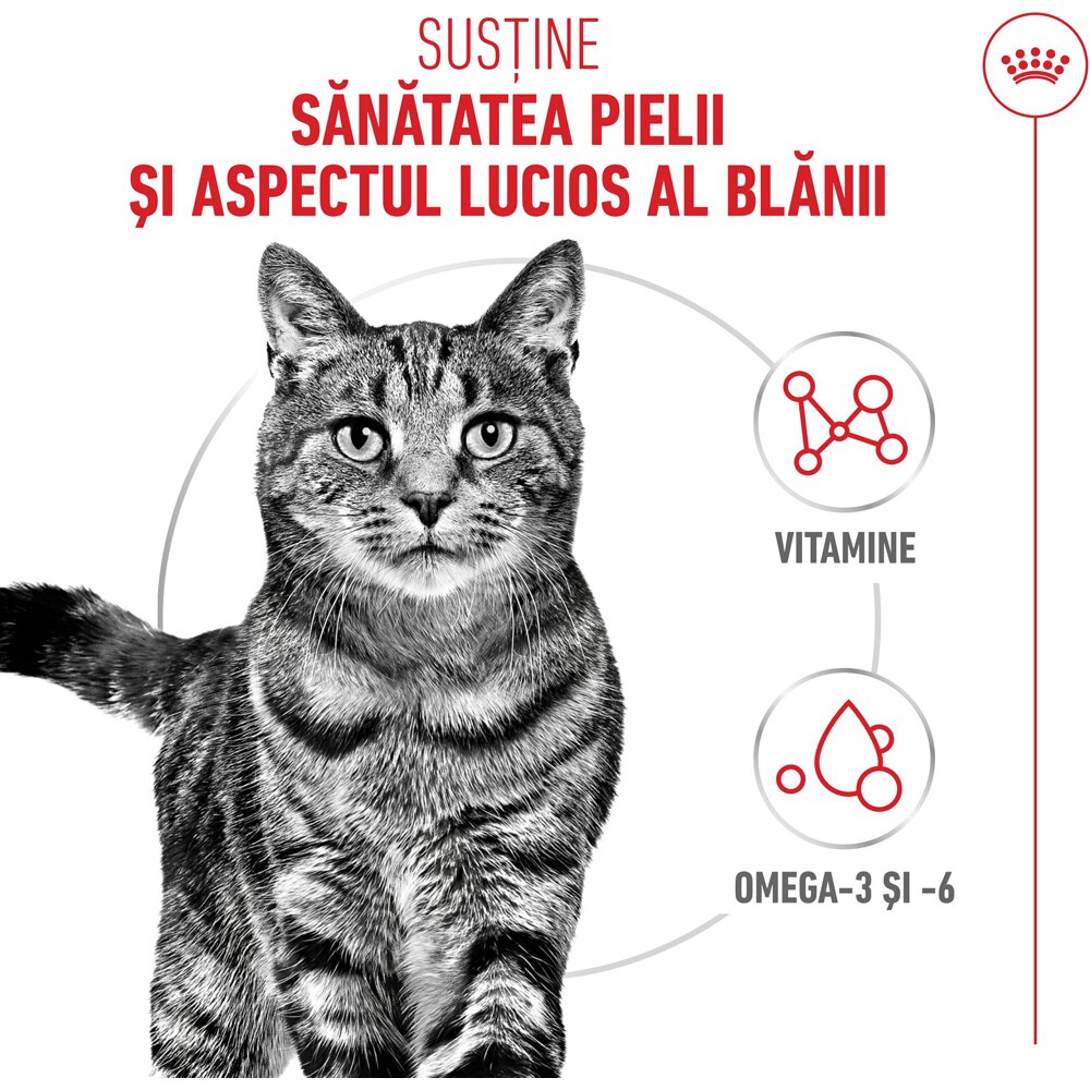 Hrana uscata pentru pisici ROYAL CANIN FCN Hair&Skin Care, Adult, Pasare, 400 g