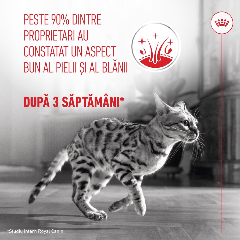 Hrana uscata pentru pisici ROYAL CANIN FCN Hair&Skin Care, Adult, Pasare, 10 kg