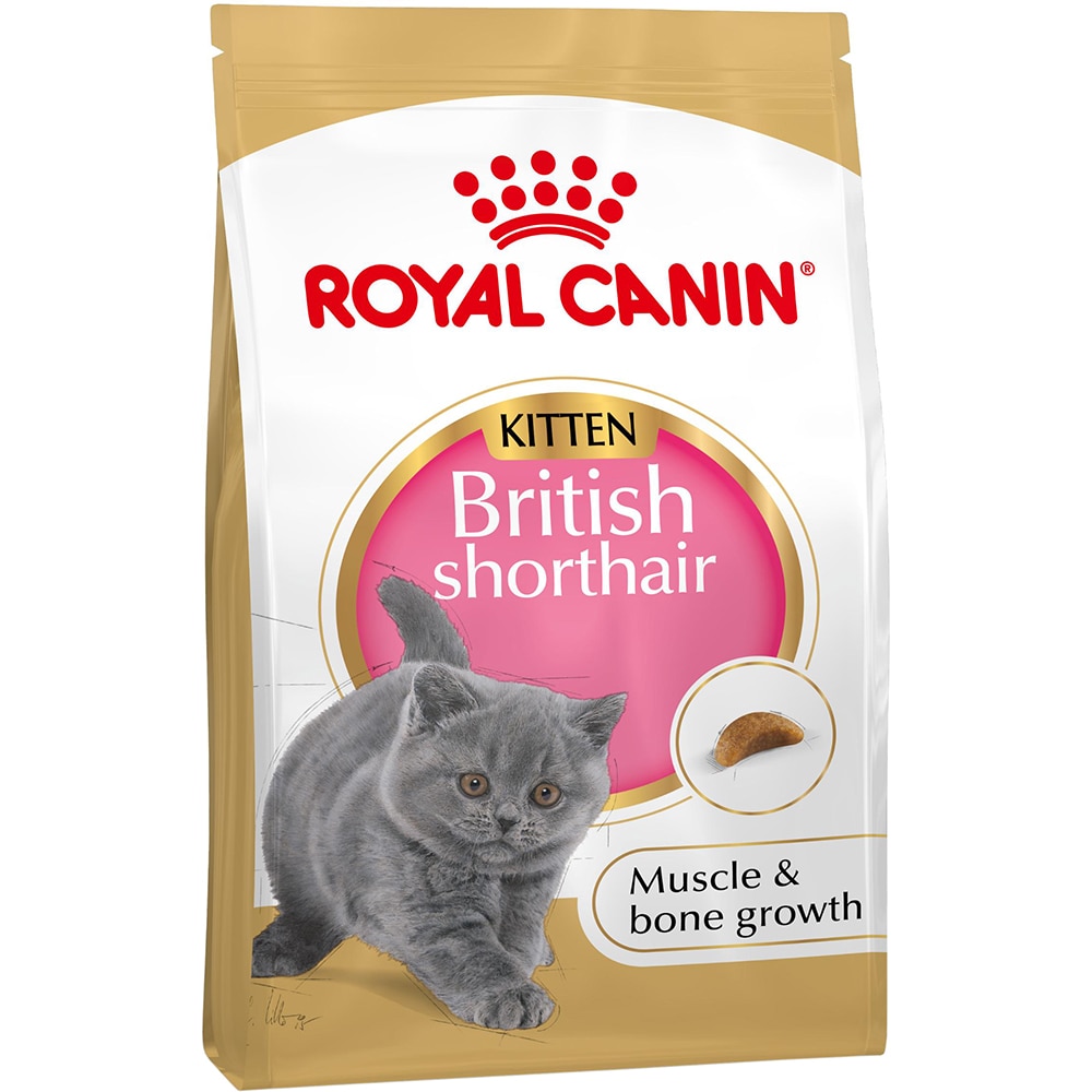 Hrana uscata pentru pisici ROYAL CANIN FBN British Shorthair, Junior, Pasare, 2 kg