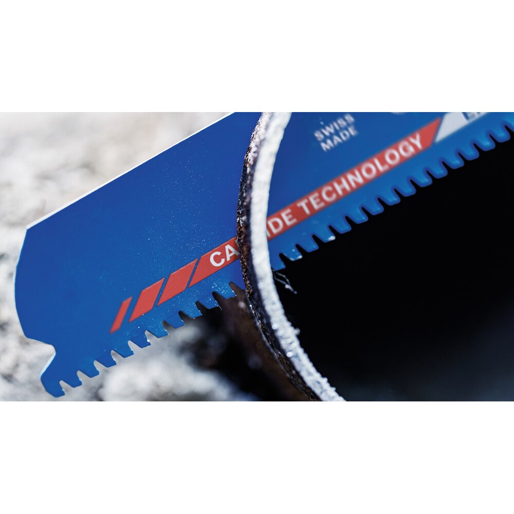 Panza ferastrau sabie BOSCH PRO, EXPERT, 225 x 25 x 1.2mm