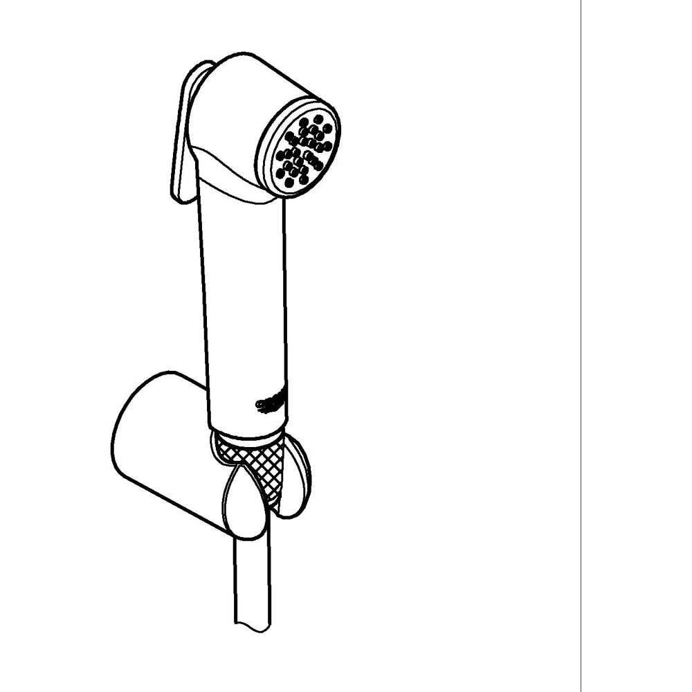 Set dus igienic GROHE Vitalio 26175001, 1 functie, crom