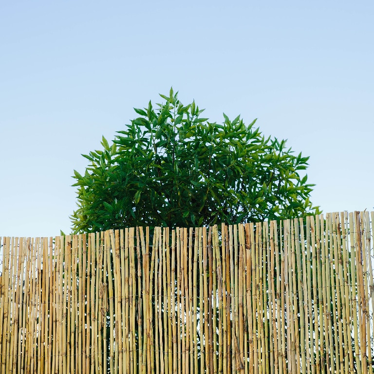 Paravan din paie decojite, 180 x 300  Blooma